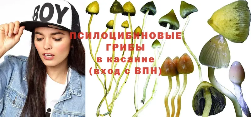 Галлюциногенные грибы Psilocybe  где купить наркоту  Ворсма 